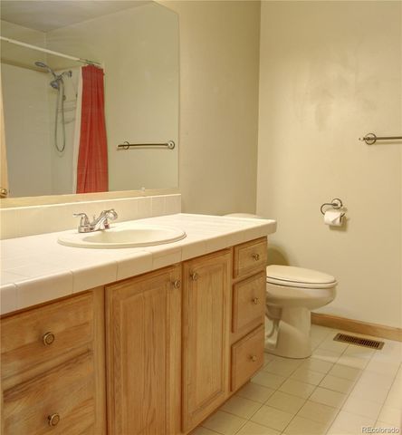 170 Blackbird Drive, Bailey, CO 80421