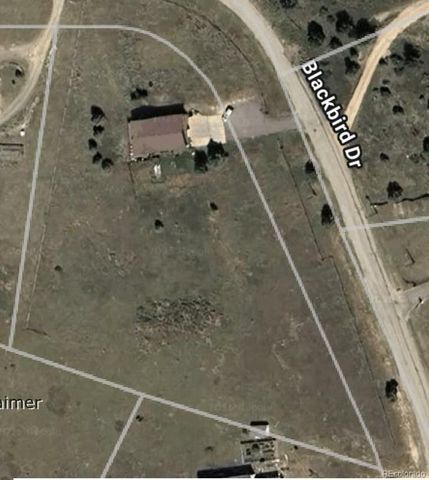 170 Blackbird Drive, Bailey, CO 80421