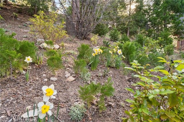 197 Massive Road, Lake Arrowhead, CA 92317