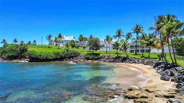 1 COSTA DORADA II C10, Dorado, PR 00646