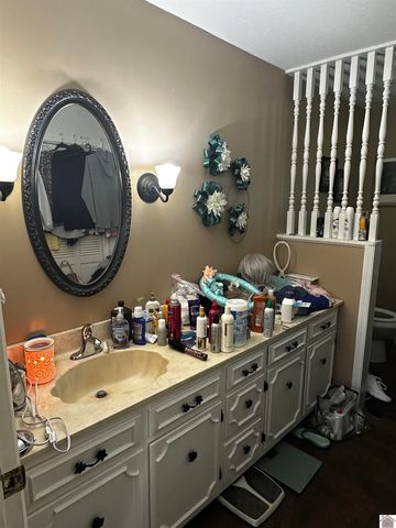 4172 State Route 303, Mayfield, KY 42066