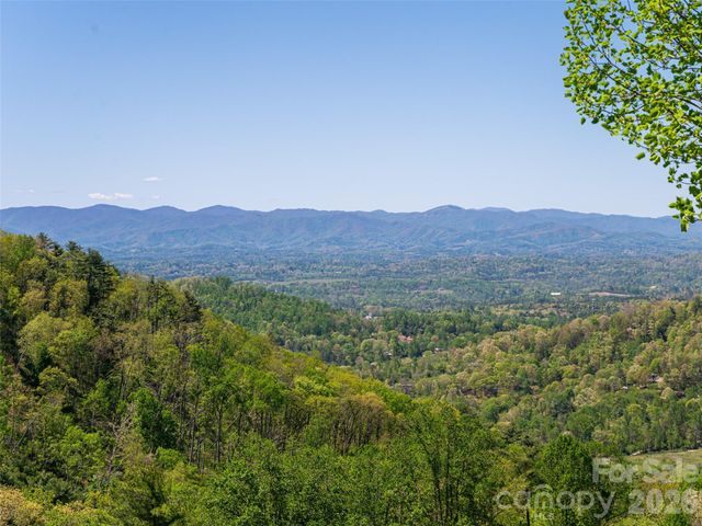 32 Timberwolf Court, Asheville, NC 28804