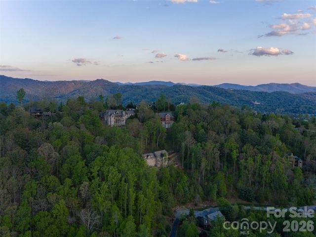 32 Timberwolf Court, Asheville, NC 28804