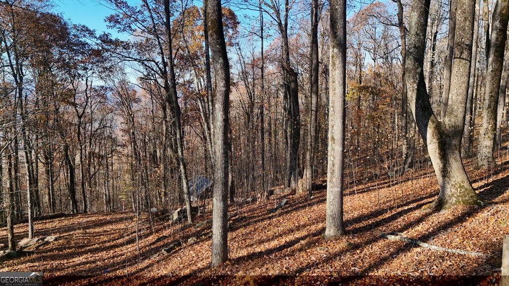 LOT 11 Mountainside Drive, Cleveland, GA 30528