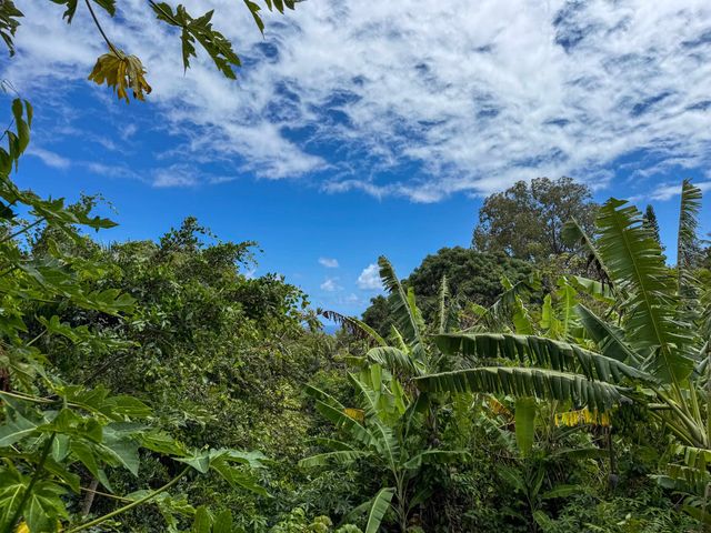 420 Haumana Rd, Haiku, HI 96708