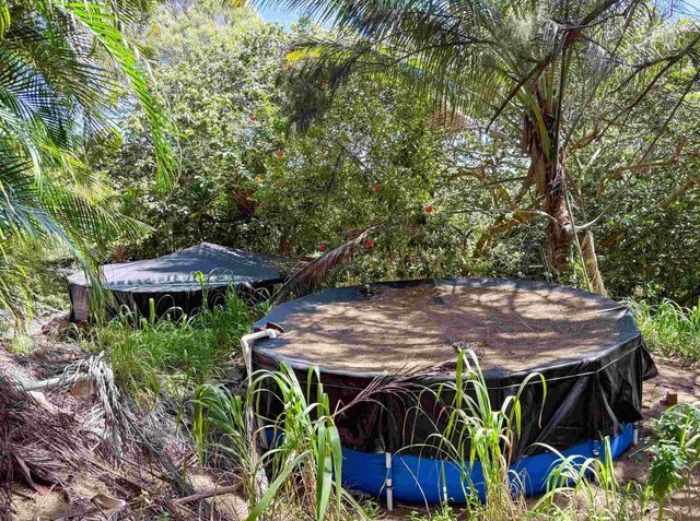 420 Haumana Rd, Haiku, HI 96708