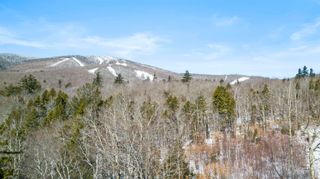 2 Gold Medal Circle # 2, Stratton, VT 05155