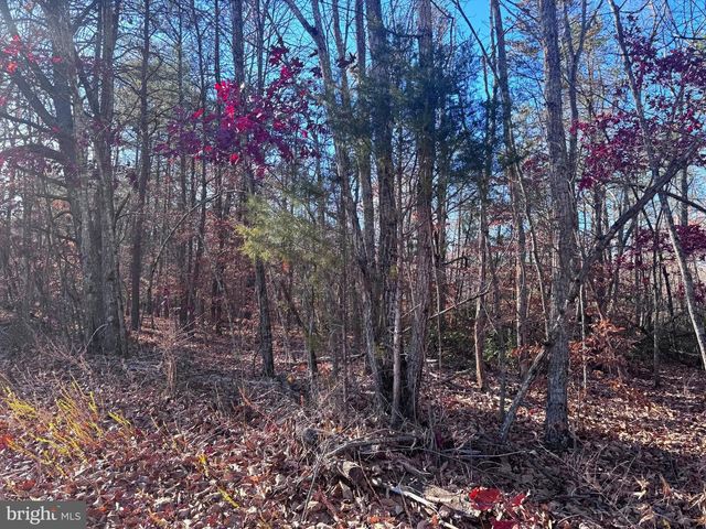 0-LOT A MAIN UNO BAPTIST CHURCH LN, Rochelle, VA 22738