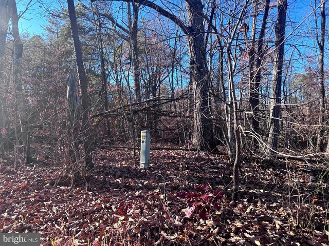 0-LOT A MAIN UNO BAPTIST CHURCH LN, Rochelle, VA 22738
