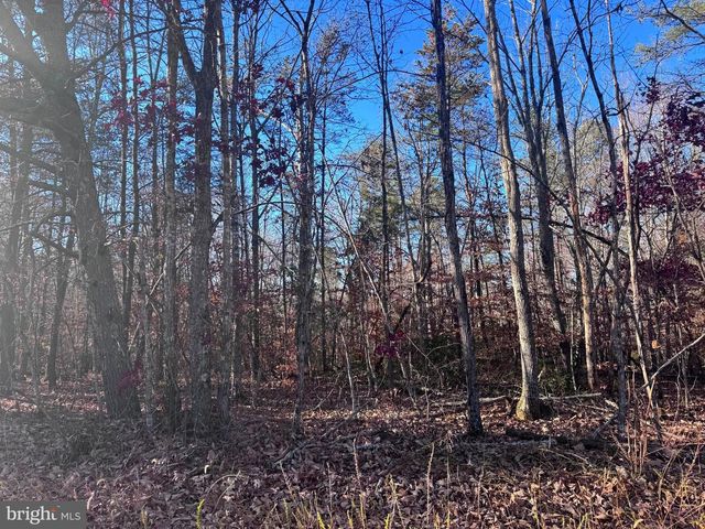 0-LOT A MAIN UNO BAPTIST CHURCH LN, Rochelle, VA 22738