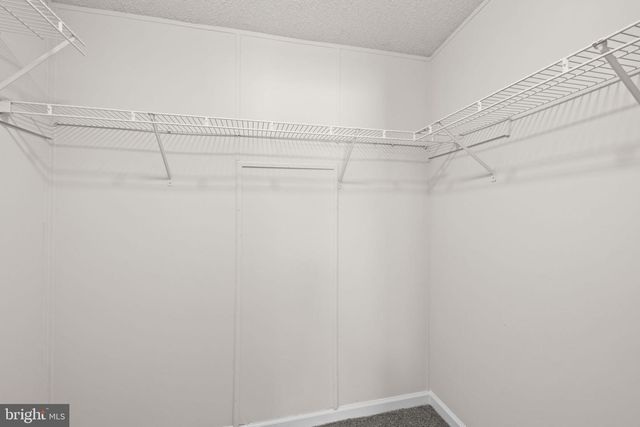 7309 RED FEATHER LN, Spotsylvania, VA 22551