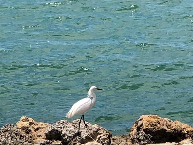 410 CRISTOBAL ST, Naples, FL 34113