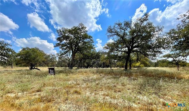 265 Firewheel Loop, Floresville, TX 78114