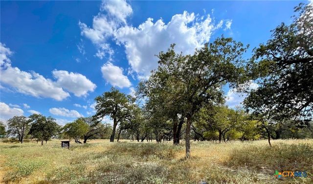 265 Firewheel Loop, Floresville, TX 78114