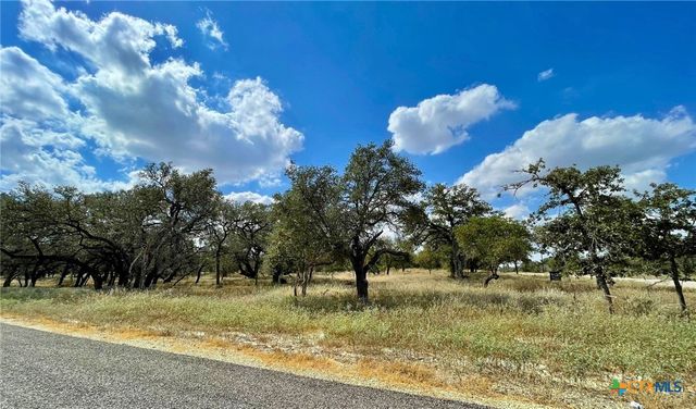 265 Firewheel Loop, Floresville, TX 78114