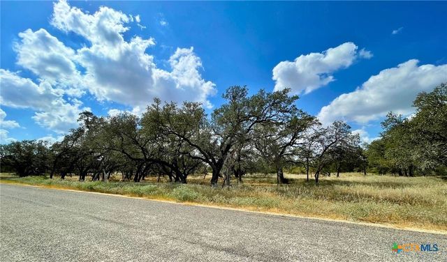 265 Firewheel Loop, Floresville, TX 78114