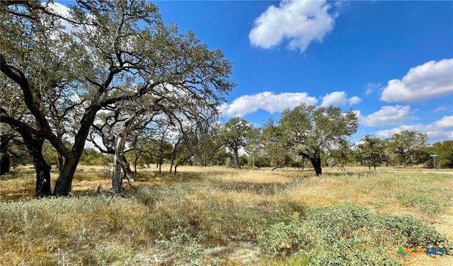 265 Firewheel Loop, Floresville, TX 78114