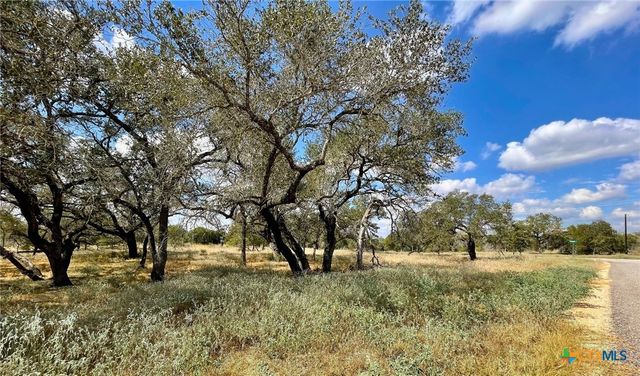 265 Firewheel Loop, Floresville, TX 78114