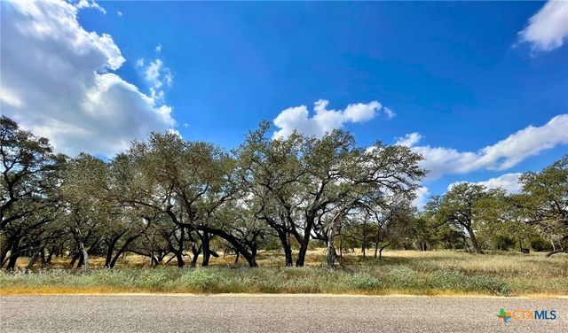 265 Firewheel Loop, Floresville, TX 78114