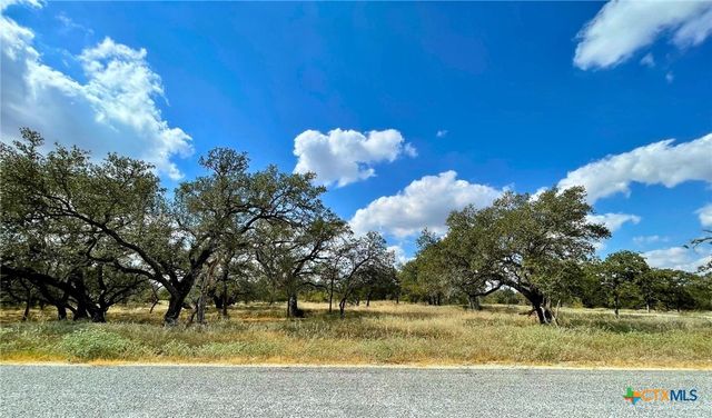 265 Firewheel Loop, Floresville, TX 78114