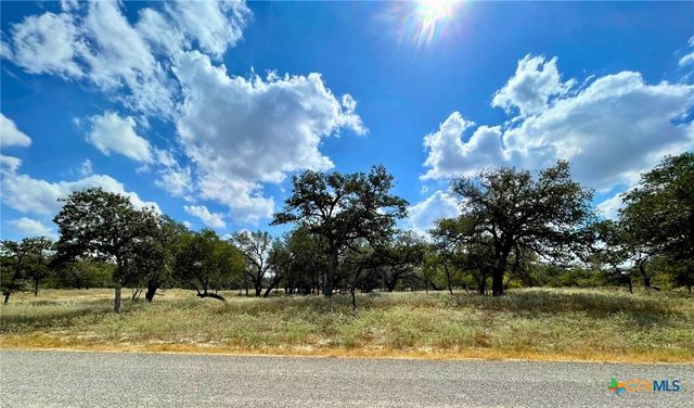 265 Firewheel Loop, Floresville, TX 78114