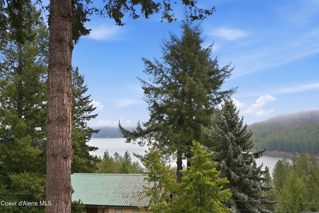 21651 S Lakeview Dr, Worley, ID 83876 photo 4