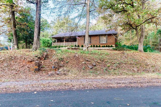 920 Deer Cove Rd, Avinger, TX 75630
