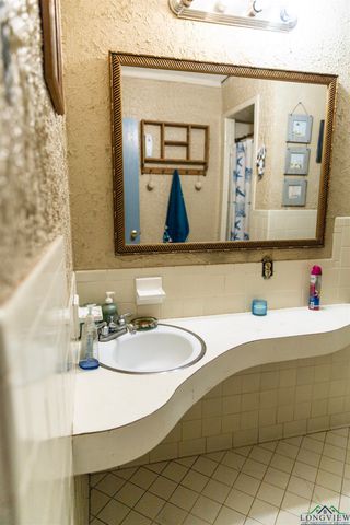 920 Deer Cove Rd, Avinger, TX 75630