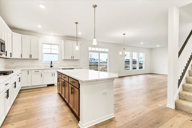 62 Hawthorn Ridge Drive, Hawthorn Woods, IL 60047