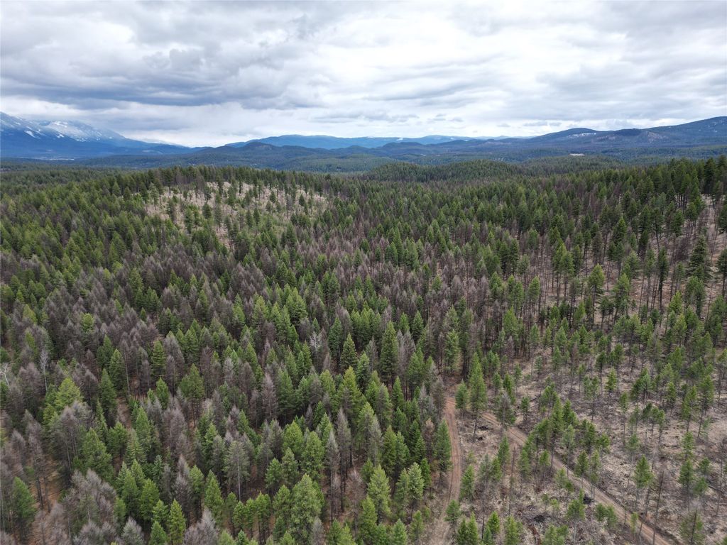 Nhn 120 Acres South, Eureka, MT 59917 photo 11