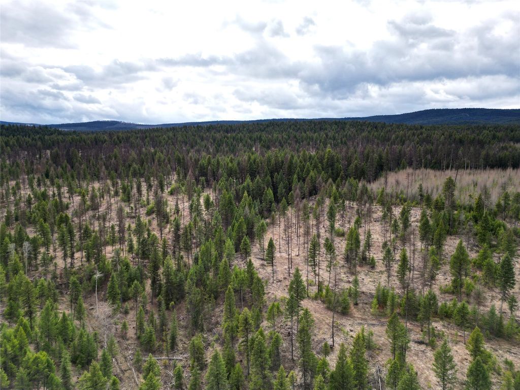 Nhn 120 Acres South, Eureka, MT 59917 photo 15