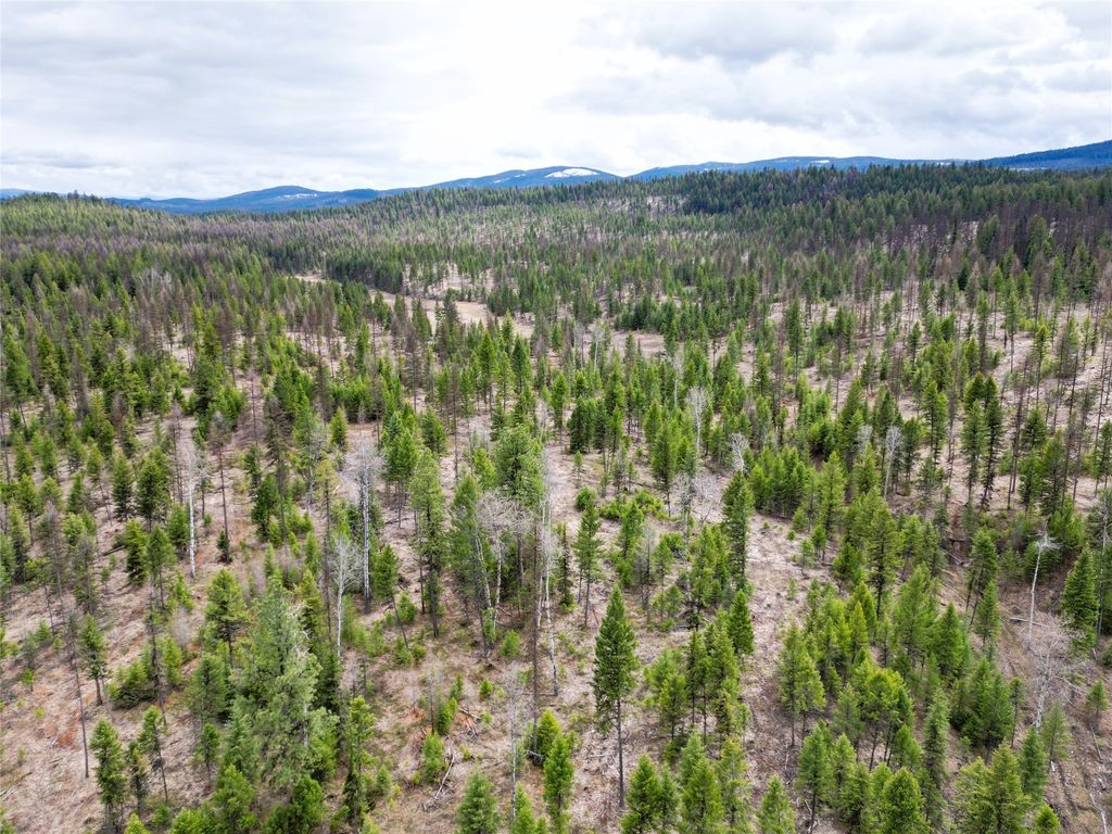 Nhn 120 Acres South, Eureka, MT 59917 photo 17