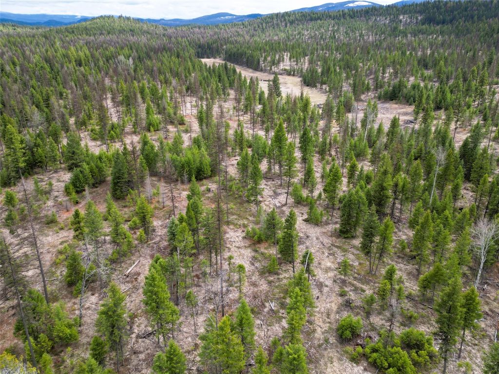 Nhn 120 Acres South, Eureka, MT 59917 photo 18