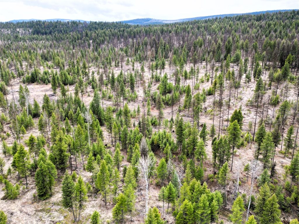 Nhn 120 Acres South, Eureka, MT 59917 photo 19