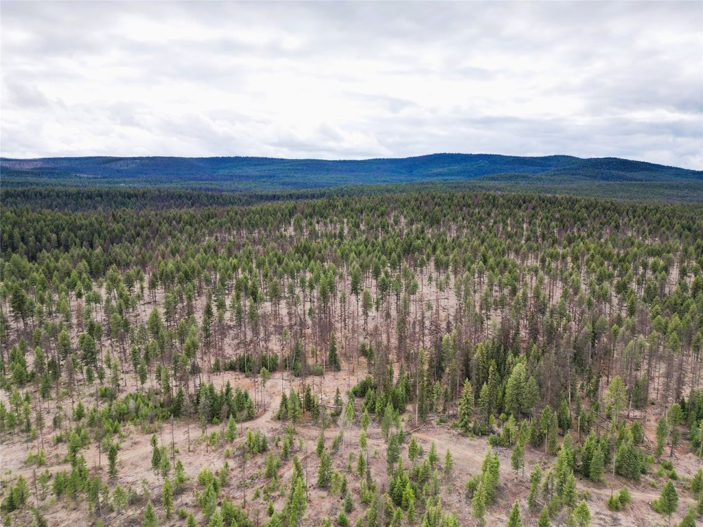 Nhn 120 Acres South, Eureka, MT 59917 photo 24