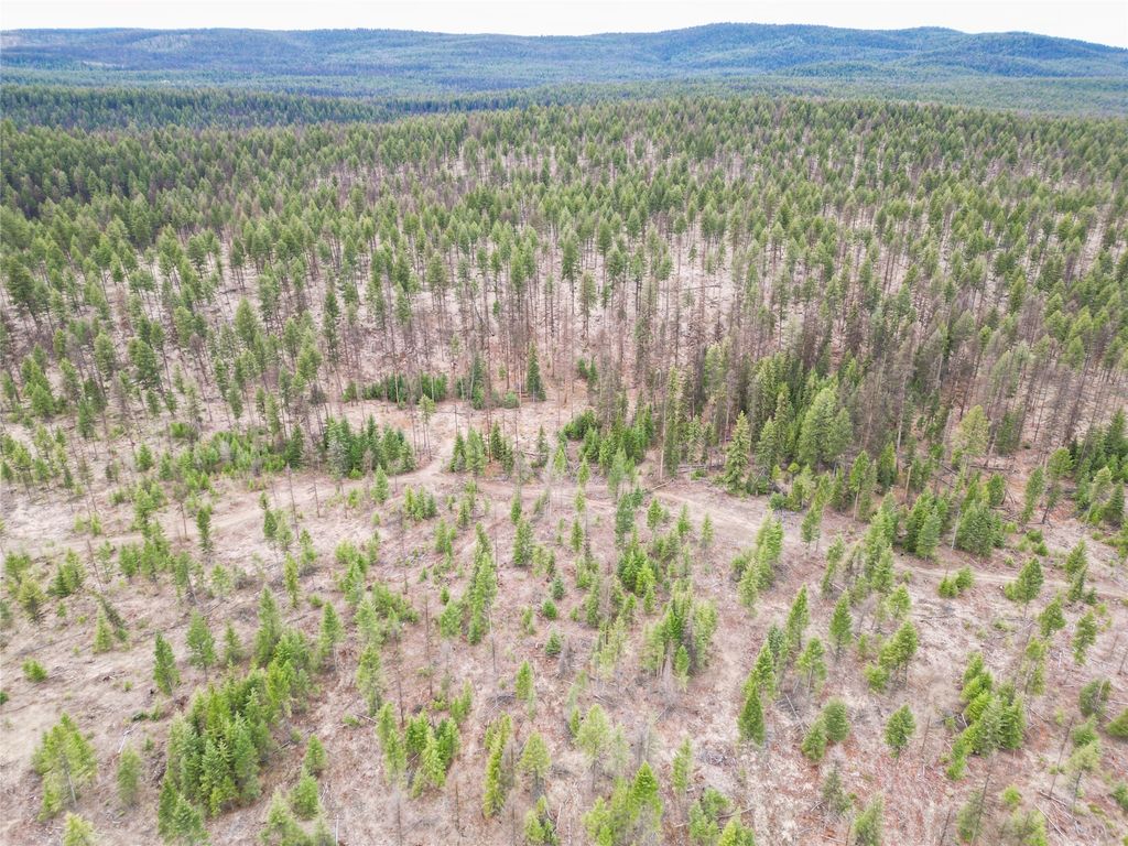 Nhn 120 Acres South, Eureka, MT 59917 photo 25