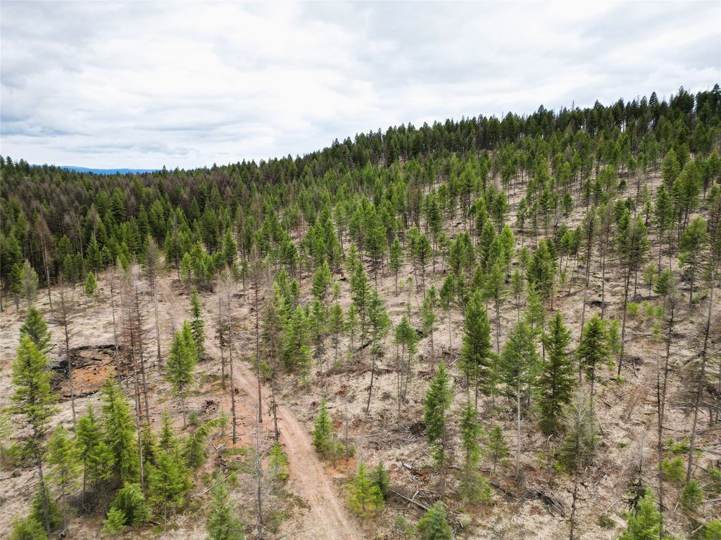 Nhn 120 Acres South, Eureka, MT 59917 photo 31