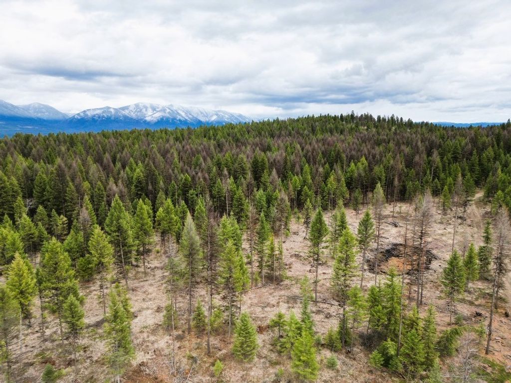 Nhn 120 Acres South, Eureka, MT 59917 photo 32