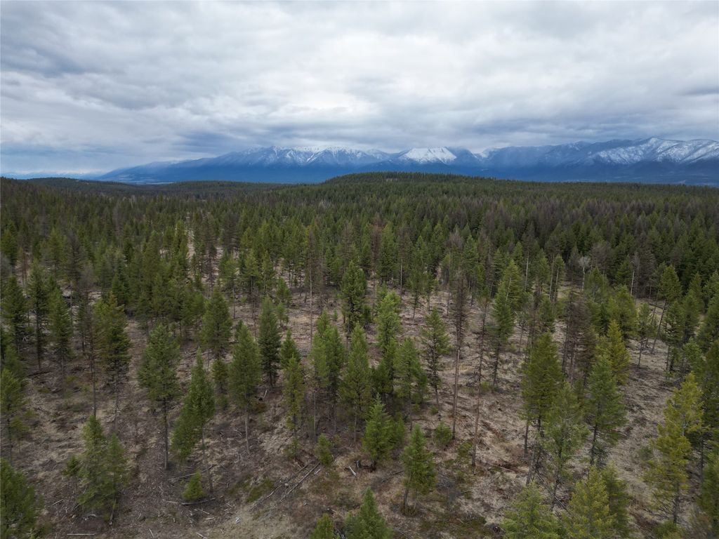 Nhn 120 Acres South, Eureka, MT 59917 photo 33