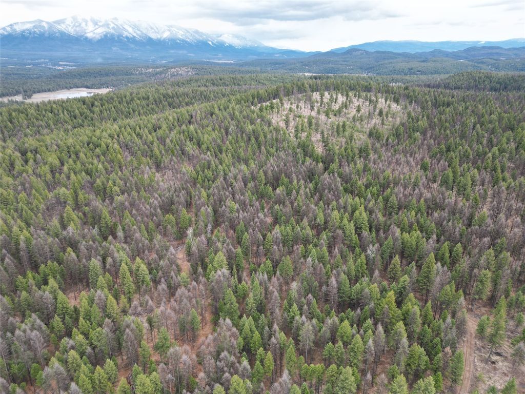 Nhn 120 Acres South, Eureka, MT 59917 photo 35