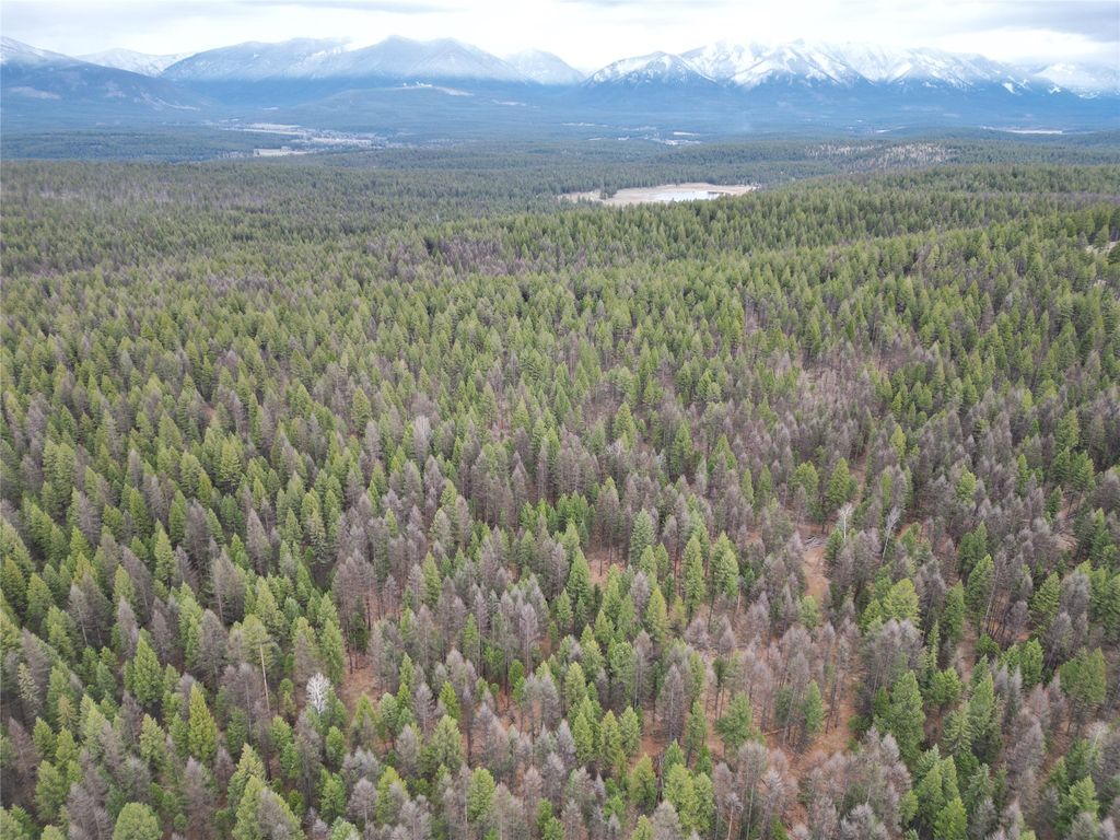 Nhn 120 Acres South, Eureka, MT 59917 photo 36