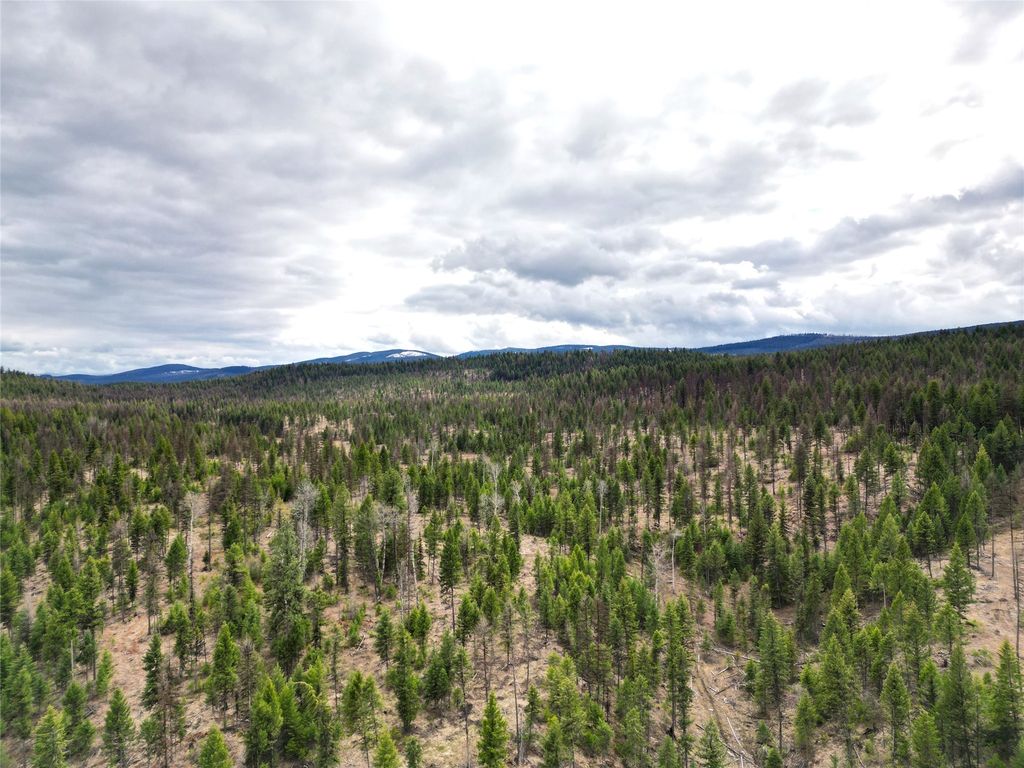 Nhn 120 Acres South, Eureka, MT 59917 photo 4