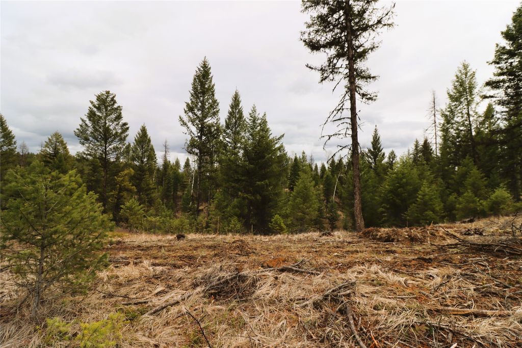 Nhn 120 Acres South, Eureka, MT 59917 photo 41