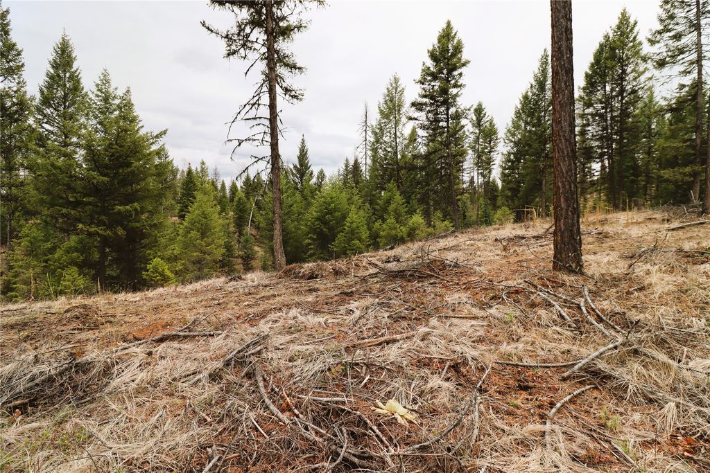 Nhn 120 Acres South, Eureka, MT 59917 photo 42