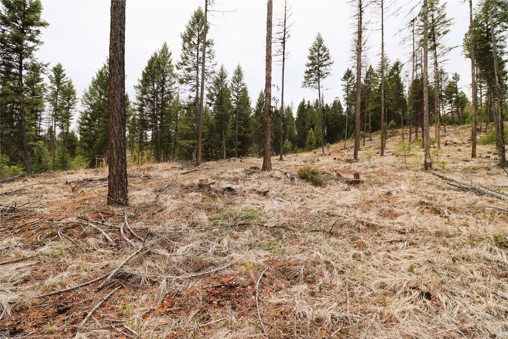 Nhn 120 Acres South, Eureka, MT 59917 photo 43