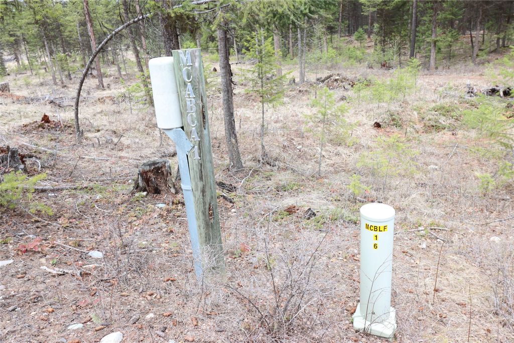 Nhn 120 Acres South, Eureka, MT 59917 photo 44