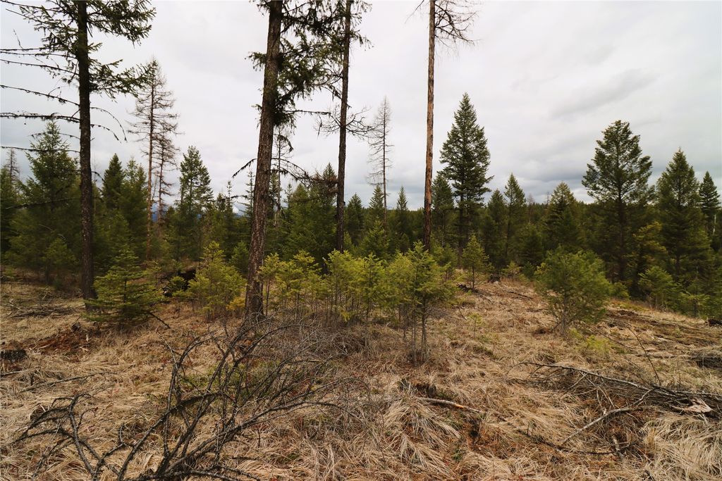 Nhn 120 Acres South, Eureka, MT 59917 photo 45