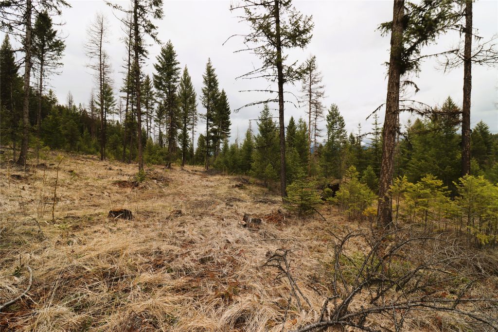 Nhn 120 Acres South, Eureka, MT 59917 photo 46