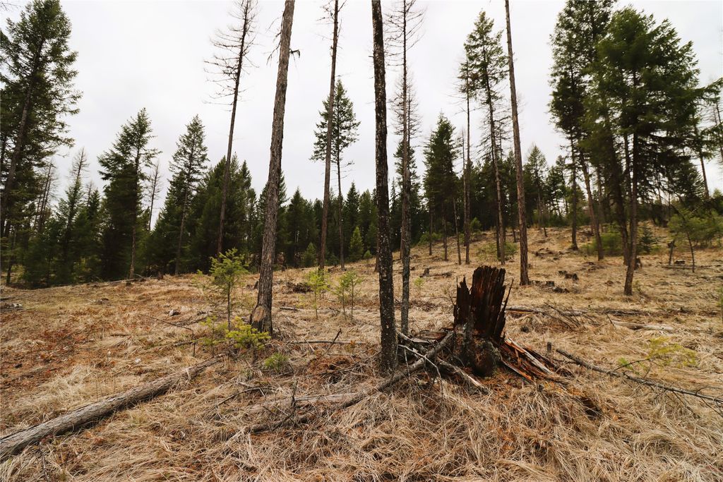 Nhn 120 Acres South, Eureka, MT 59917 photo 47