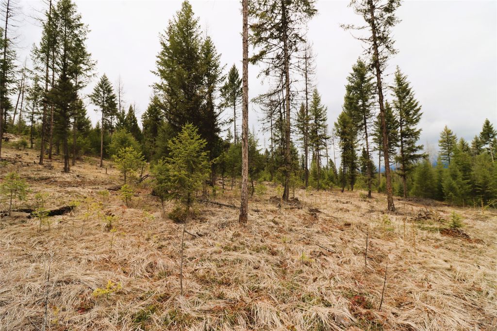 Nhn 120 Acres South, Eureka, MT 59917 photo 48